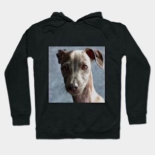 I Love Dogs, The Best Friends, Italian Greyhound Hoodie